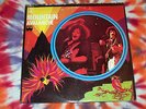 MOUNTAIN Avalanche WINDFALL RECORDS 1974 First Pressing NEAR MINT Rock