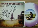 Alanis Morissette Big Sur 7