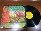 The Children ?– Rebirth - VG+ Vinyl LP Record