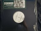 Common Like Water For Chocolate Instrumental rare LP
