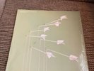 Modest Mouse - Good News For People Who Love Bad News 696998712515 (Vinyl Used)