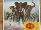 Elvis Costello And The Attractions Armed Forces Import Lp Original Sealed EP