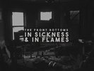 The Front Bottoms IN SICKNESS & IN FLAMES Limited Edition NEW COLORED VINYL LP