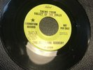 ‘67 DETROIT NORTHERN SOUL / PSYCH - THE PLEASURE SEEKERS -TIGERS BACK -PROMO