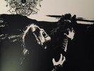Drowning The Light ?- The Serpents Reign LP Vinyl Album - NEW Black Metal Record