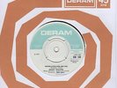Danny Williams Whose Little Girl Are You Deram Demo DM 149 Soul Northern motown