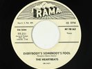 Doo-Wop 45 - Heartbeats - Everybody's Somebody's Fool - Rama - mp3