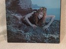Roxy Music – Siren (Polydor) Vinyl Record 12” LP