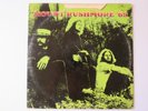 vinyl record LP Mount Rushmore 69 Dot DLP25934 Raw Blue Psych