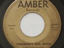 Garage Psych HARBINGER COMPLEX Tomorrow's Soul Sound VG+ AMBER 45 HEAR