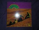 1 LP The Rationals  CR-1334 org.Verschweißt