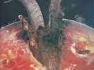 The Rolling Stones Goats Head Soup Remastered LP anderes Covermotiv + 7