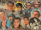 ELVIS PRESLEY - 14unique Picture Disc - Rock N Roll (EU IMPORTS 7”singles