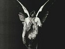 UNDEROATH ERASE ME LP VINYL RECORD TRANSPARENT ACID GREEN VINYL NEW SEALED