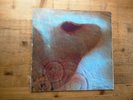 Pink Floyd Meddle A1/B1 1st Press Very Good 2 x Vinyl LP Record Album SHVL 795