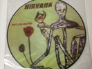 Nirvana - Incesticide - LP Picture Disc - Mint Unplayed Condition