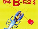 The B52's BEST OF: DANCE THIS MESS AROUND 13 Essential Songs GREATEST New LP