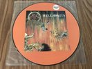 Slayer Hell Awaits Limited Edition Picture Disc 1105 - MXPD 8020 Metal Blade