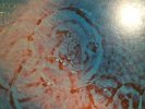 Pink Floyd Meddle Harvest Records Vinyl 1971