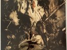Fields Of The Nephilim - Elizium LP