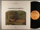 Pearls Before Swine Tom Rapp  ...Beautiful Lies You Could Live In. Folk Psych