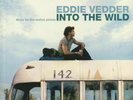 Eddie Vedder - Into The Wild Soundtrack - Limited Coloured Vinyl LP MINT Rare