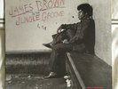 2 DOUBLE LP JAMES BROWN In The Jungle Groove  VINYL 180 GRAM UK 2009