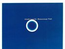 UNDERWORLD - BEAUCOUP FISH NEW VINYL