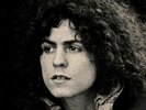 ID1167z - Tyrannosaurus Rex - A Beard Of Stars - SLRZ 1013