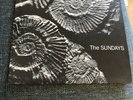 THE SUNDAYS - Reading, Writing and Arithmatic - Vinyl LP First Press Ex