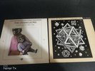 The chameleons fan and the bellows vinyl Sun and the moon alive not dead vinyl