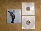 Sunny Day Real Estate The Rising Tide Clear Vinyl LP Record Store Day 2017 RSD