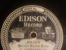 RARE PREWAR BLUES 1925 NOBLE SISSLE & EUBIE BLAKE BROKEN BUSTED BLUES EDISON DD