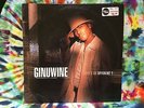 Ginuwine ?What's So Different? LP EPIC RECORDS 550 Music ?– 666782 6 IMPORT