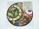 RUSH The Garden 10