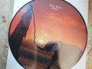 Mina lp  bula bula picture disc