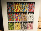 The Maccabees - Colour It In RSD Rare Indie Vinyl Foals Blossoms
