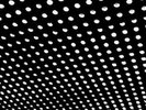 Beach House - Bloom NEW LP