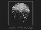 ID4z - ROBERT CALVERT - OVER THE MOON - vinyl 7 - New