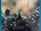 Steely Dan- Katy Lied (MFSL,1978) Vinyl LP  NM Original Master Recording