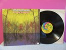 American Blues lp Do Their Thing vinyl record Psych Rock ZZ top Dusty Hill Beard