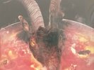 Rolling Stones Goats Head Soup 2020 – Half Speed Master 180g Viny