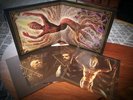 TOOL - Fear Inoculum - Gatefold - GOLD Color DOUBLE Vinyl LP w/ Songlist Insert