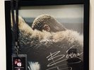 beyonce SIGNED lemonade double vinyl FRAMED w/REFORMATION PASS w.COA