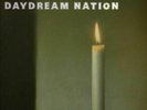 Sonic Youth 4 x LP  Daydream Nation / BOX SET