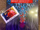 Bright Eyes -Down In The Weeds -Red/Orange Color 2LP Vinyl -Sealed- Signed Print