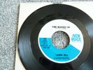 LAINIE HILL TIME MARCHES ON NEW VOICE RECORDS PROMO 7