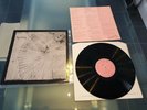 ANNETTE PEACOCK Sky-skating IRON 2 ironic records 1982 vinyl LP with insert