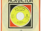Funk 45 - Linda Tillery & Loading Zone - Can I Dedicate - RCA Victor - VG++ mp3