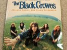 BLACK CROWES - Jealous Again SEALED 12